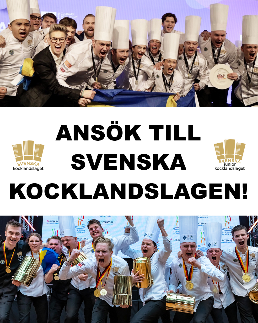 ansökan_vit